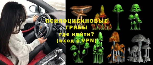 не бодяженный Алексин