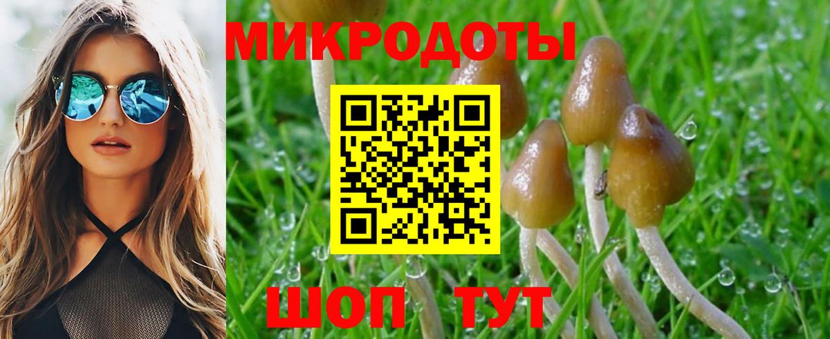 Анжеро-Судженск  Галлюциногенные грибы Psilocybine cubensis  Вход с VPN 