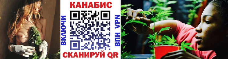 Конопля Bruce Banner  Анжеро-Судженск 